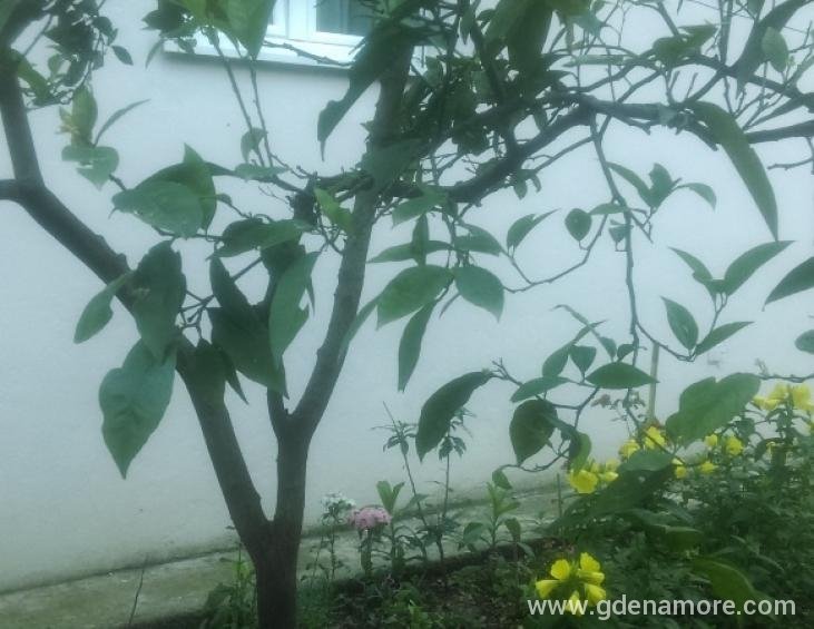 72.Pogled iz jednog od apartmana